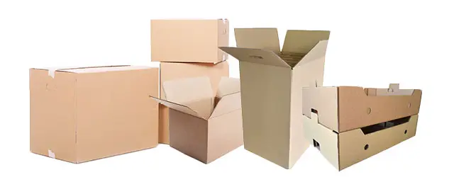 Todos los tipos de cajas